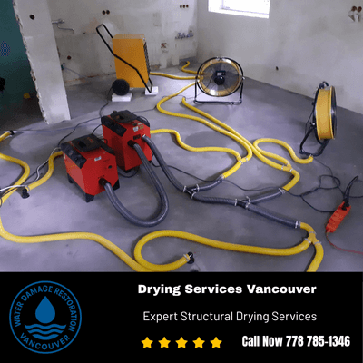 Drying Services
