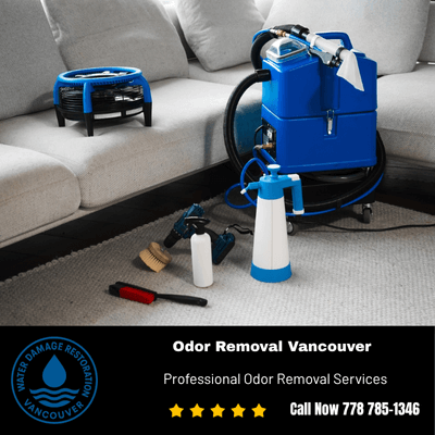 Odor Removal